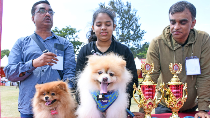 https://www.salarnews.in/public/uploads/images/newsimages/maannewsimage28092025_230526_Dasara (1).png